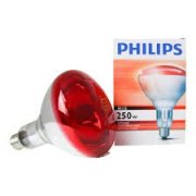 Philips INFRA 250W E27 IR250W